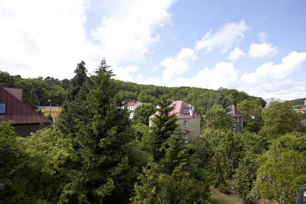 Horizon Forest Moj-Sopot Pl Стая снимка